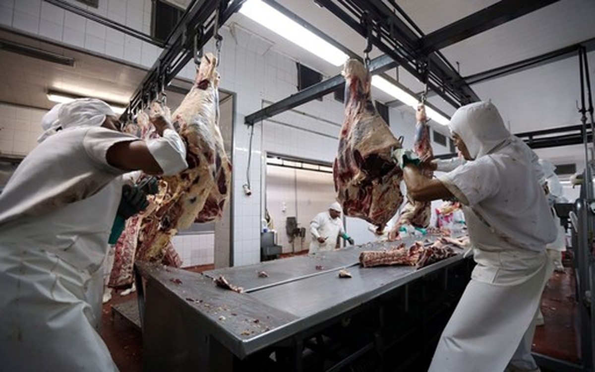 Minerva recorrerá ao governo do Uruguai para tentar destravar acordo com a Marfrig | Negócios