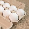 Cotações dos ovos vêm recuando no mercado doméstico desde abril - Freepik