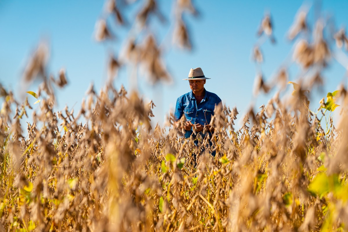 Agronegócio: case mundial em logística reversa