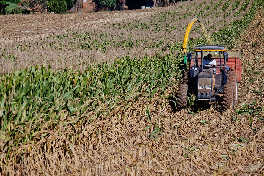 Agricultores familiares acessaram R$ 40,8 bilhões de julho de 2024 a janeiro deste ano