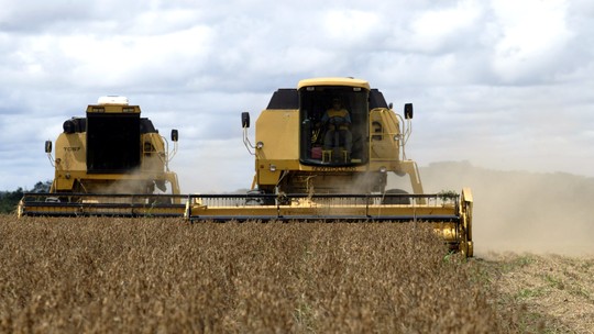 Custeio da safra de soja em MT caiu 18% em agosto, diz Imea