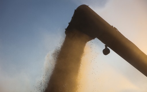 Taxa para exportar grãos na Argentina deve prejudicar renda do produtor