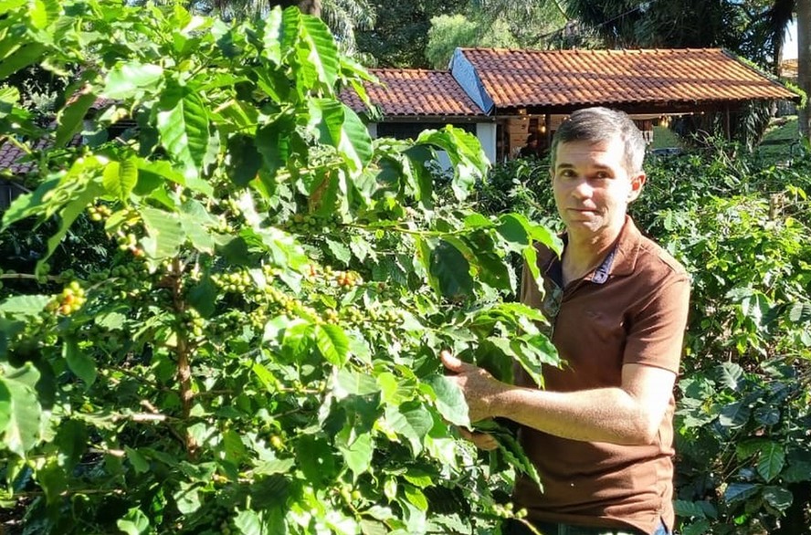 Alcione Monteiro diz que plantas de cobertura entre cafeeiros aumentaram os inimigos naturais de pragas