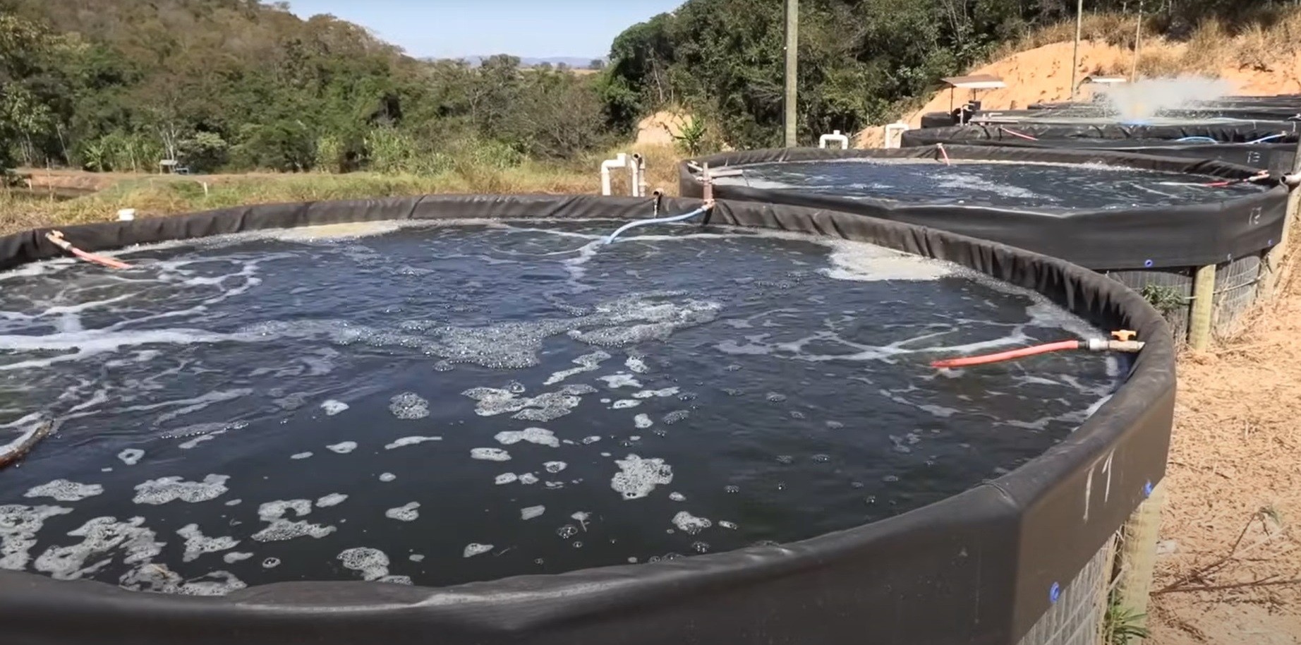 Piscicultor utiliza tanques suspensos para criação de tilápias