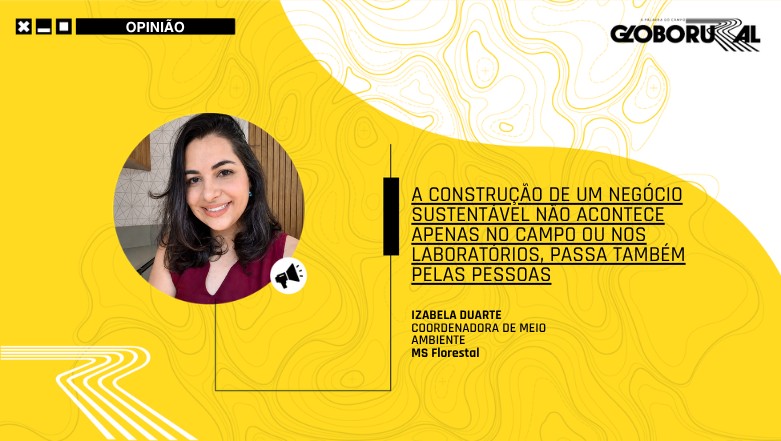 A construção da sustentabilidade na silvicultura
