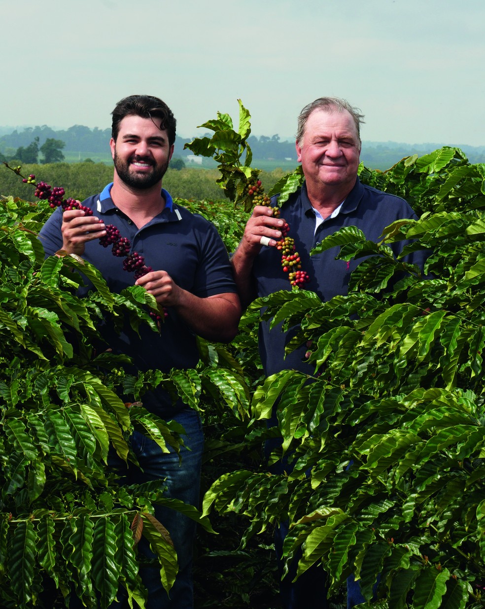 Cafeicultores Sávio e Domingos Agrizzi, de Sooretama (ES): sucessão familiar e inovações para aumentar a qualidade do grão canéfora — Foto: Thiago de Jesus
