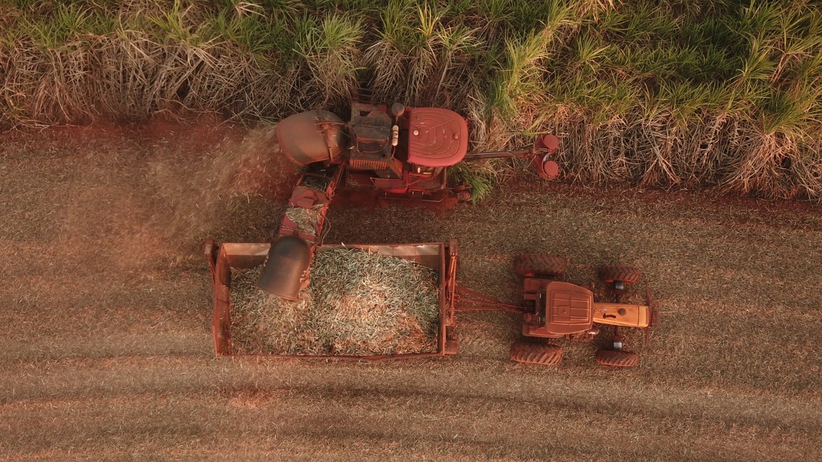 ACP Bioenergia levanta R$ 150 milhões para expansão