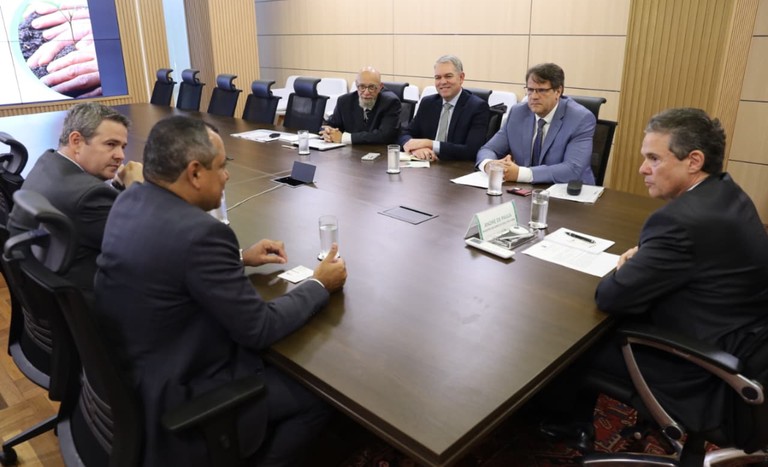 Governo e indústria discutem caminhos para ampliar produção nacional de fertilizantes