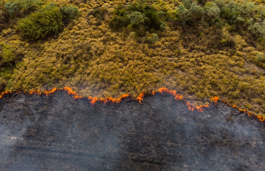 Estados com maiores impactos foram São Paulo, Mato Grosso, Pará e Mato Grosso do Sul