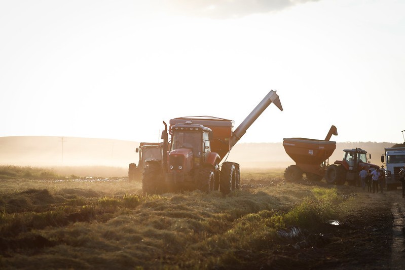 Produtores do RS paralisam trabalhos de colheita após falta de combustível para as máquinas