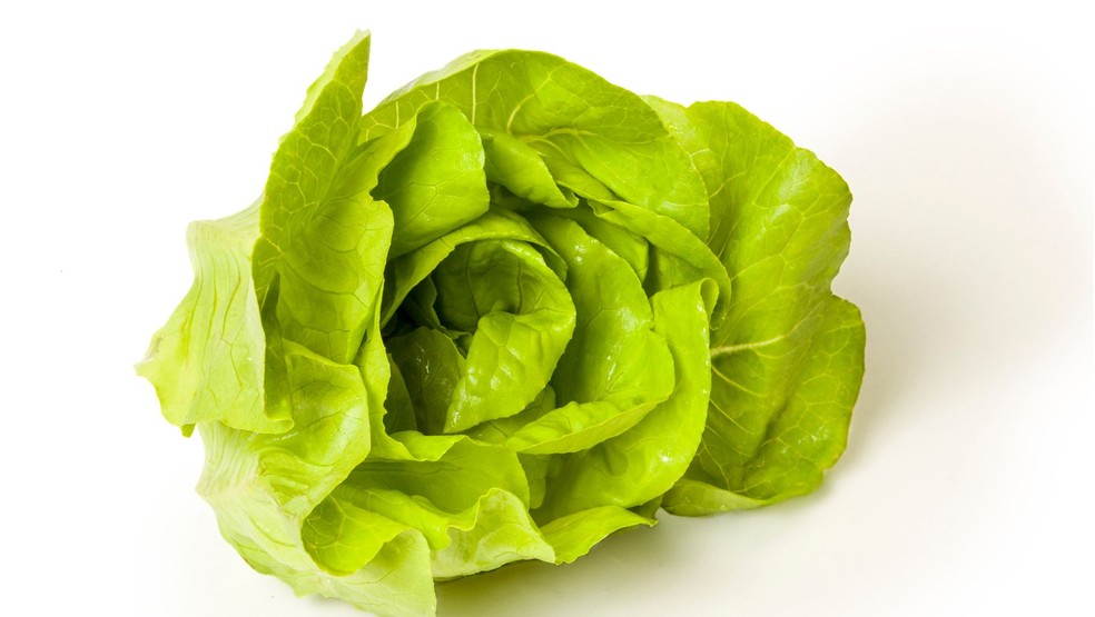 Alface — Foto: Canva/Creative Commons