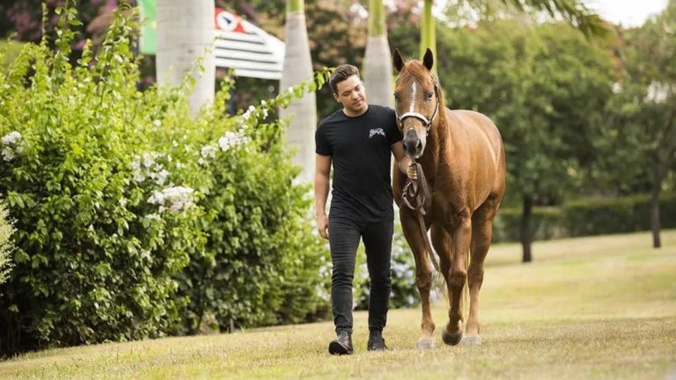 Wesley Safadão tem dois dos cavalos mais caros do Brasil — Foto: Divulgação/ @harasws