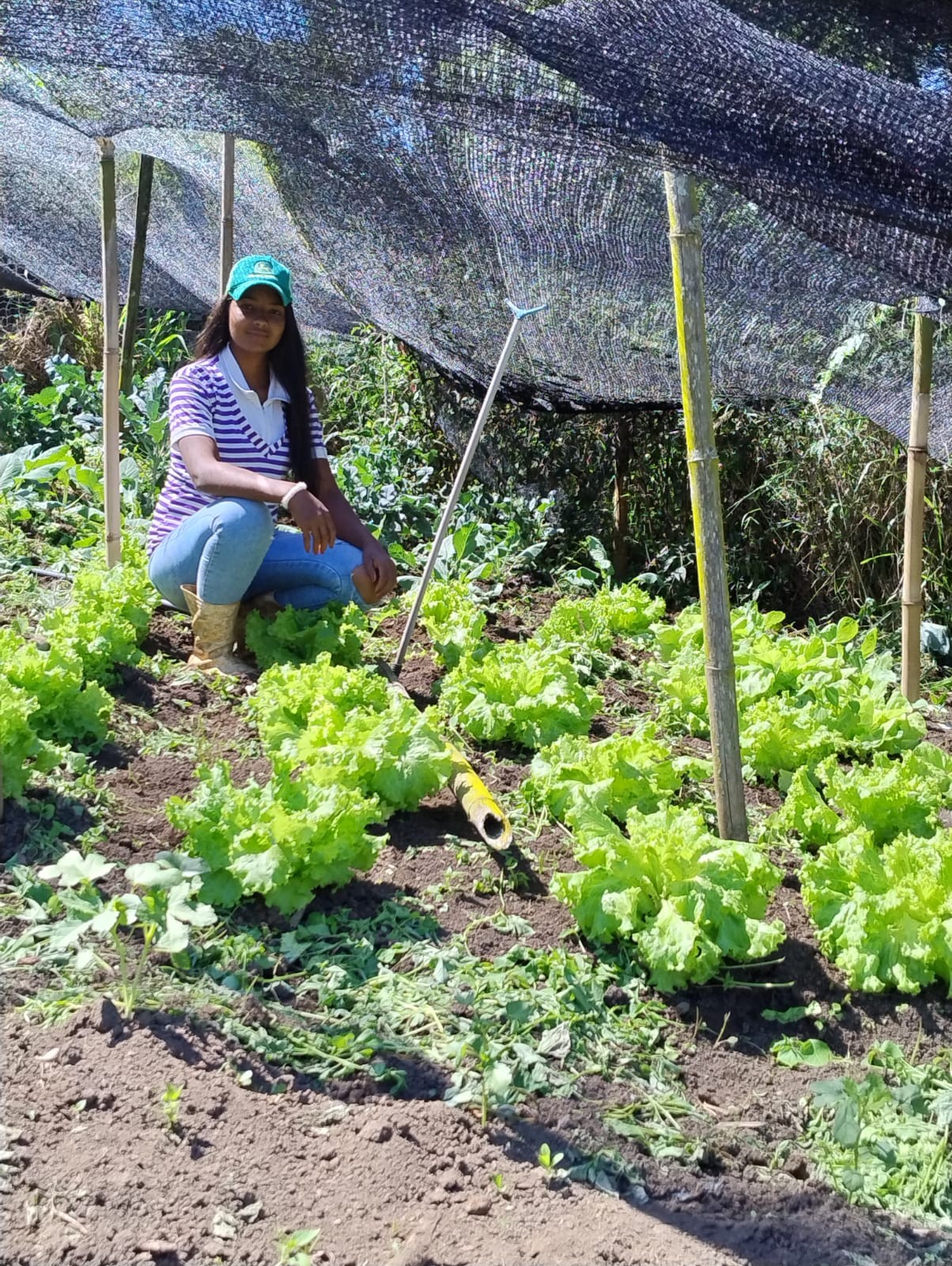Jovem projeta futuro no campo com diversificação