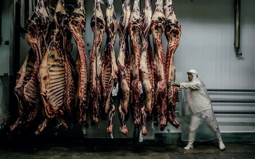 Habilitações de frigoríficos da China tendem a impedir um aumento de preço da carne, diz Alcides Torres