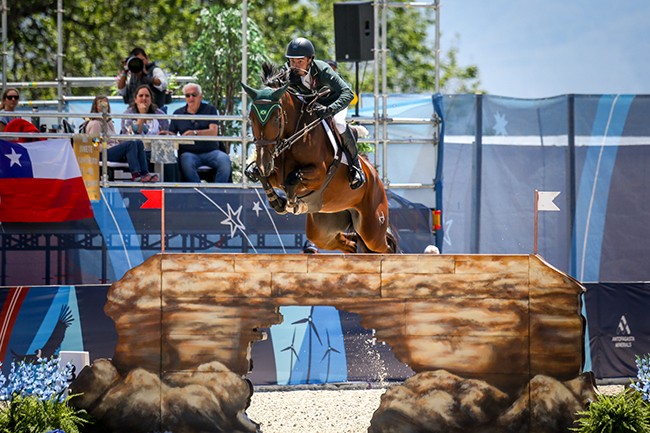 Cavalos de hipismo valem milhões e têm seguro de carro de luxo; saiba mais