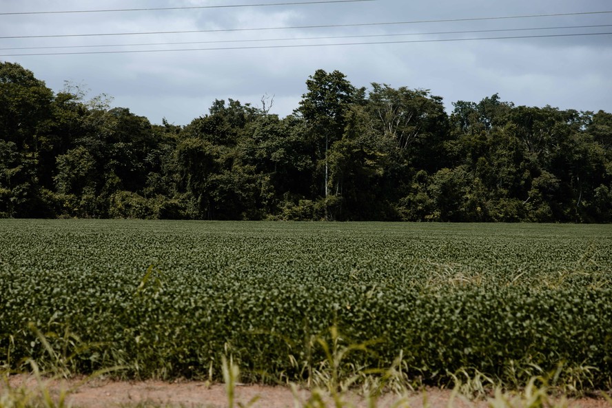Agricultores reclamam que o pacto ultrapassa limites legais, como o Código Florestal, que permite a abertura de áreas em até 20% na Amazônia