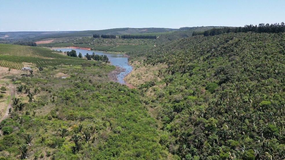 As áreas de reserva legal, de preservação permanente, de reconstituição de flora e de recuperação de áreas degradadas somam 2.244 hectares — Foto: Divulgação
