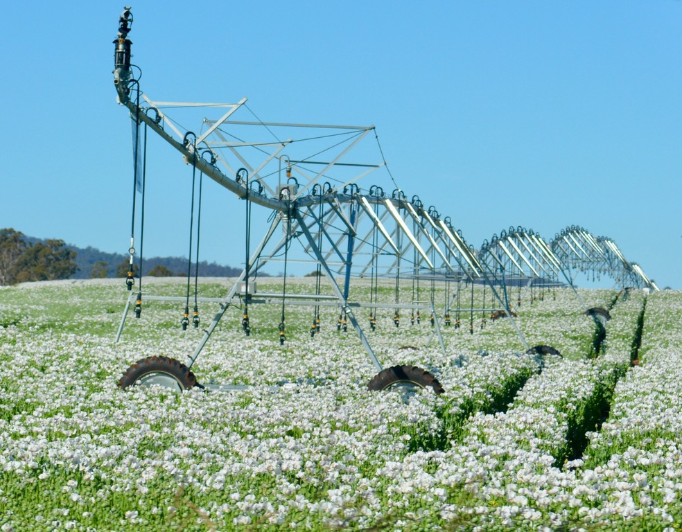 A irrigação eficiente será essencial para manter a produtividade diante dos desafios climáticos — Foto: Unsplash