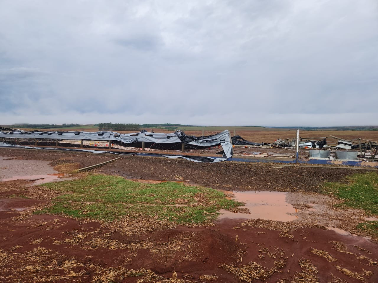 Como produtores podem minimizar os impactos do temporal no Paraná