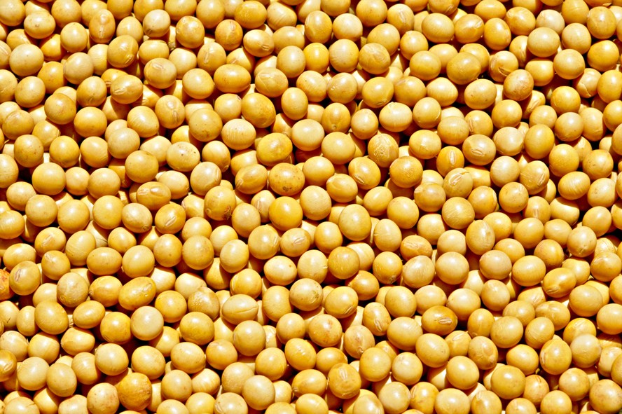 A soja também seguiu com preços mais altos na bolsa de Chicago