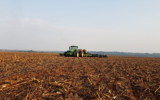 Plantio de soja alcança 1,15% da área em Mato Grosso, diz Imea