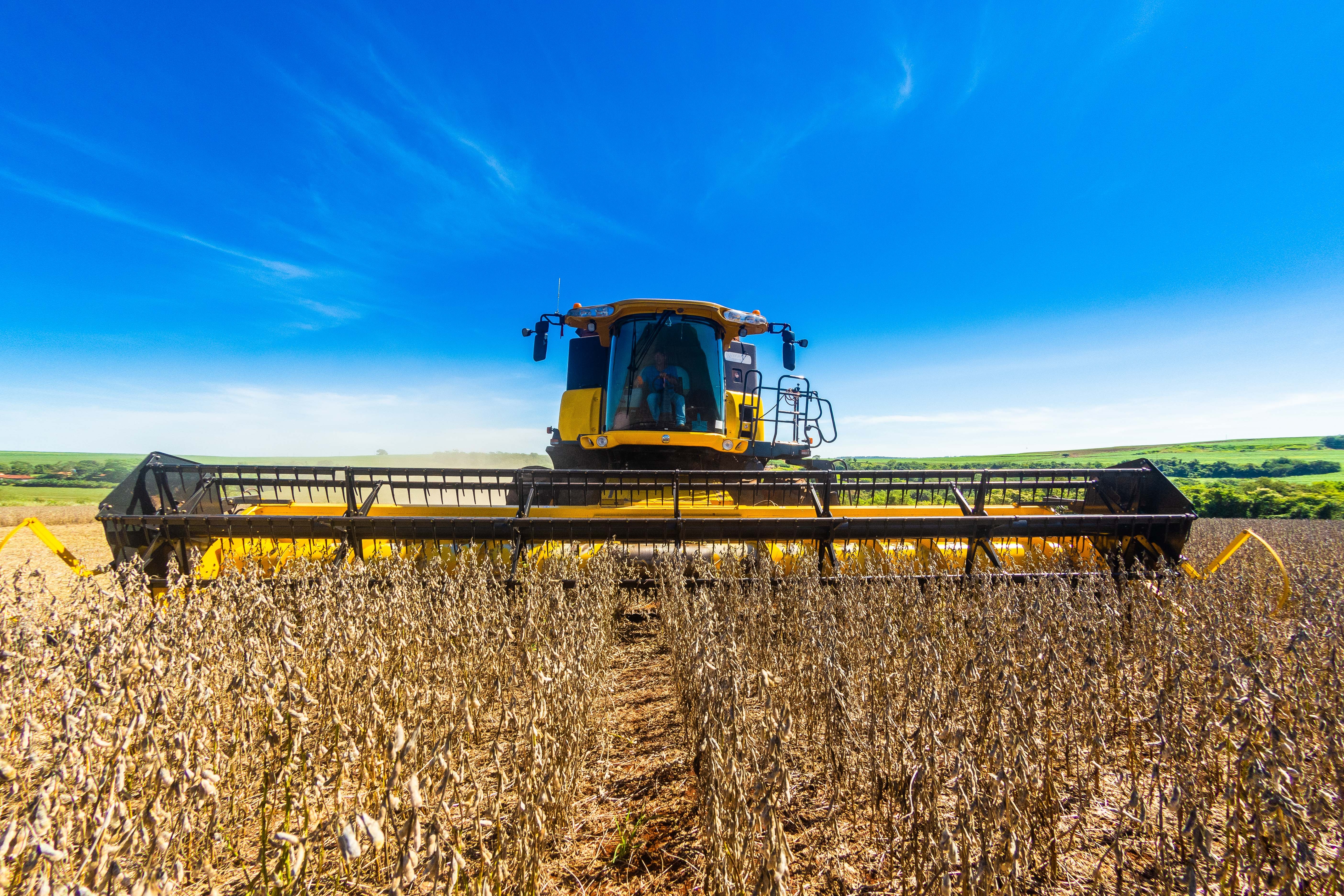 Preço da soja volta a perder força no Brasil