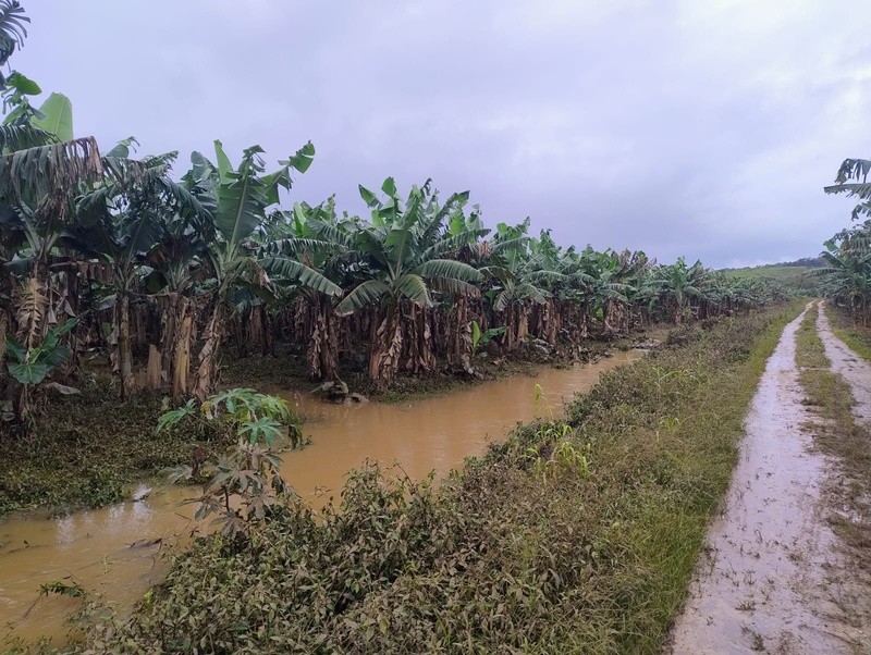 Produtores afetados pelas chuvas no Vale do Ribeira (SP) terão R$ 10 milhões em crédito