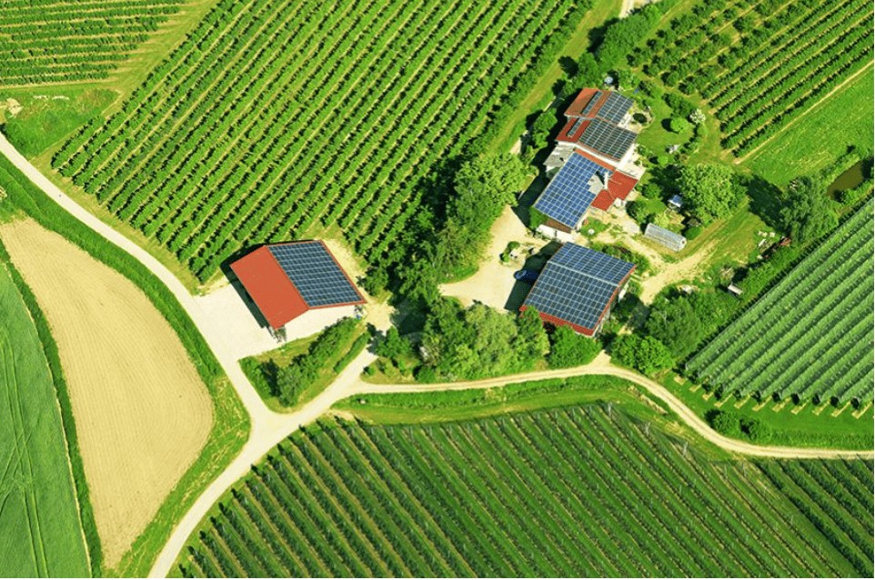 Plano Safra amplia crédito para energia, mas produtor precisa fazer conta antes de investir em geração própria