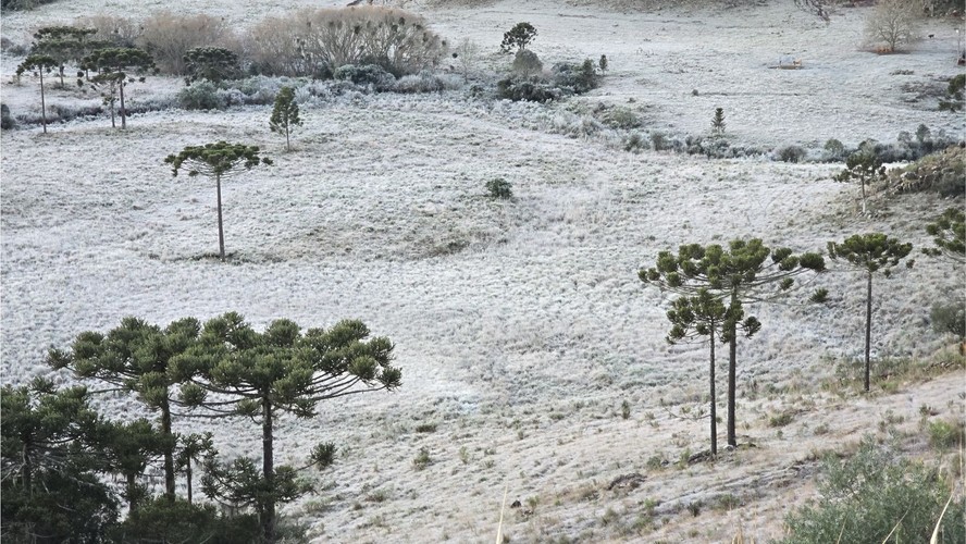 Geada no Vale da Neve em Santa Catarina