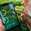 Agtechs em destaque atuam em gestão e análise de dados no campo - Getty Images/Canva