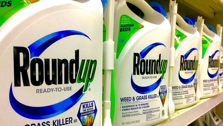 Ações da Bayer recuam, após empresa ser condenada a pagar US$ 2,1 bilhões nos EUA