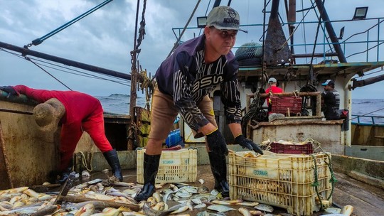 Peixe: Brasil fica mais próximo de voltar a exportar para a UE