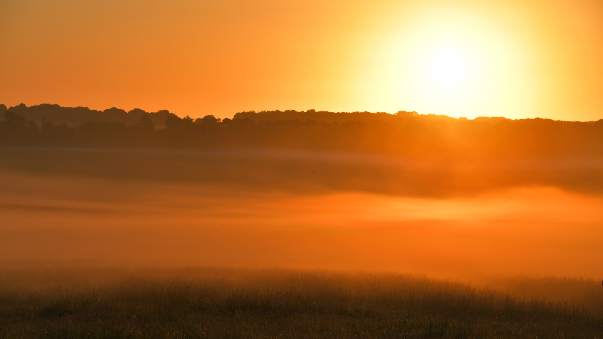 O que é solstício de verão e por que hoje será o dia mais longo do ano?