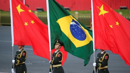 Com novo protocolo, Brasil deve exportar mais farinha animal para a China