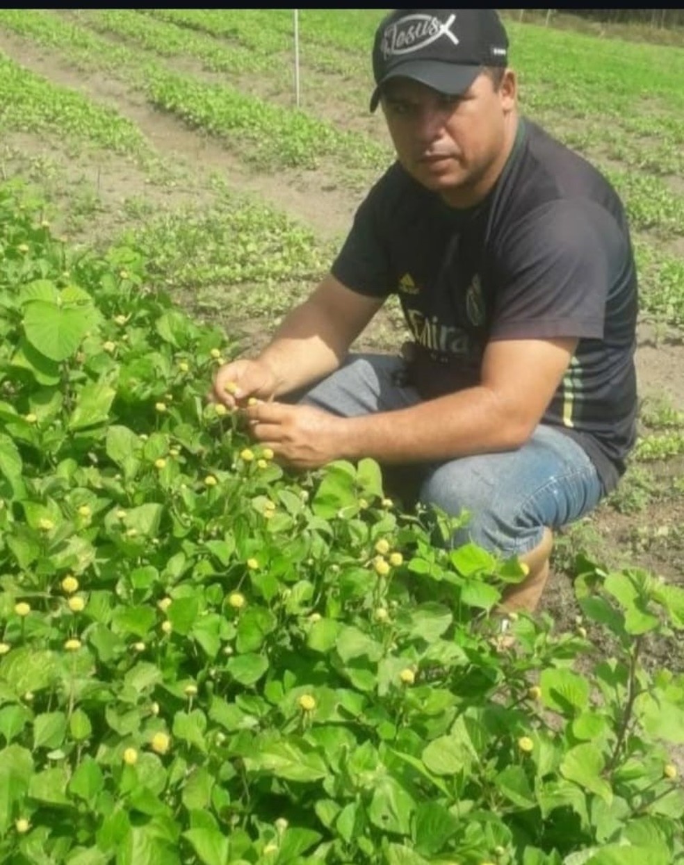 Produtor rural José Erivaldo Macedo investiu em irrigação para driblar os períodos de seca na lavoura de jambu  — Foto: Divulgação