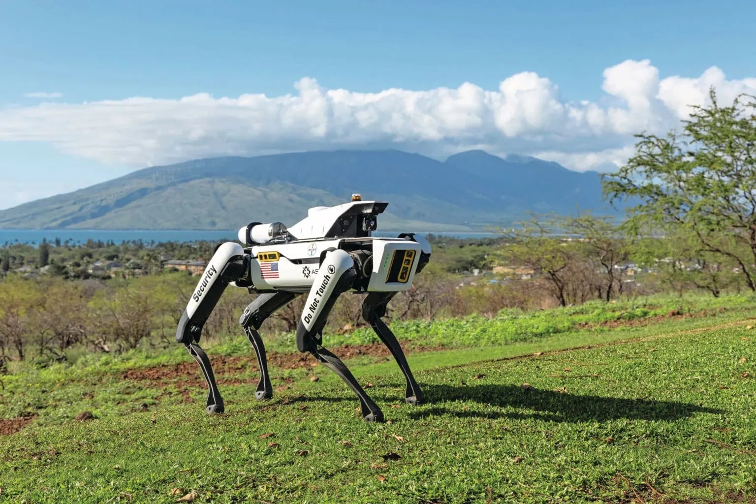 Fazenda do futuro: cães-robôs vigiam plantações em tempo real