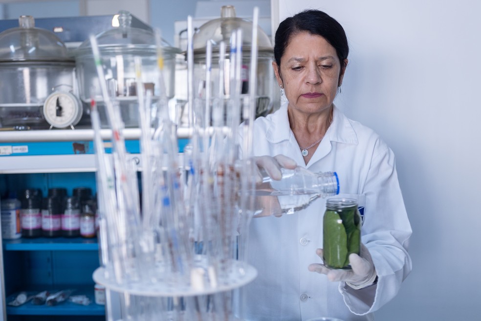 Os estudos com o café avançaram no Brasil, em especial os que elevam a qualidade do grão, em trabalhos como o da pesquisadora Julieta Almeida — Foto: Rogério Albuquerque