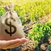 Nesta temporada, 25 instituições financeiras vão operacionalizar as linhas subsidiadas do crédito rural, que somam R$ 157,1 bilhões - Getty Images