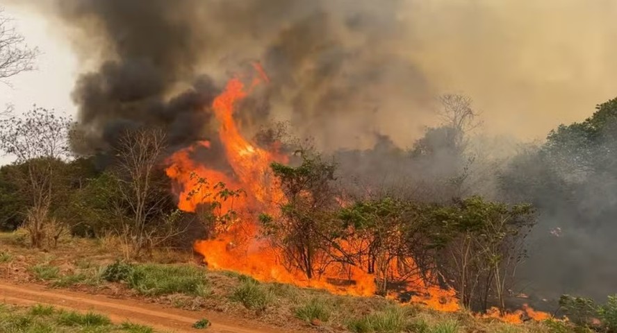 Governo de SP reforça alerta para forte calor e focos de queimadas em zonas  rurais