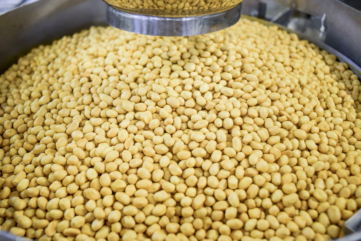 ピーナッツはサンパウロ国内で良いビジネスを生み出す | 仕事