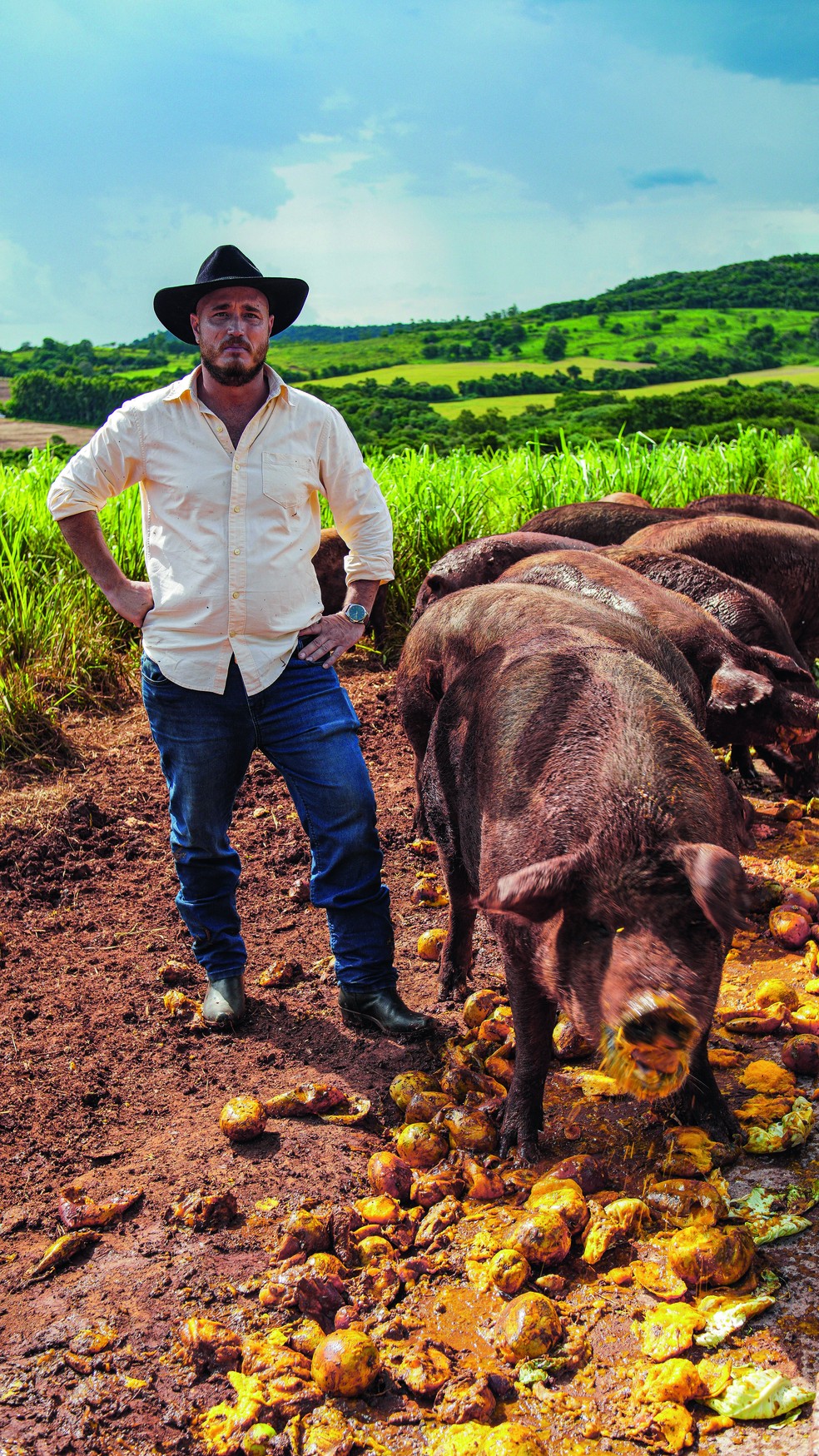 O produtor João Guilherme Muffato: integrante da quarta geração de suinocultores da família — Foto: Thiago de Jesus/Ed Globo