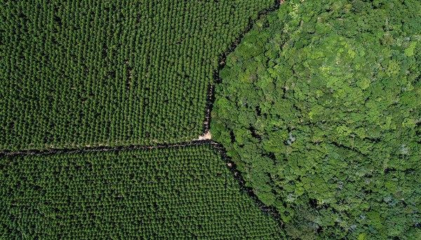 Agro do Brasil pede para adiar lei ambiental