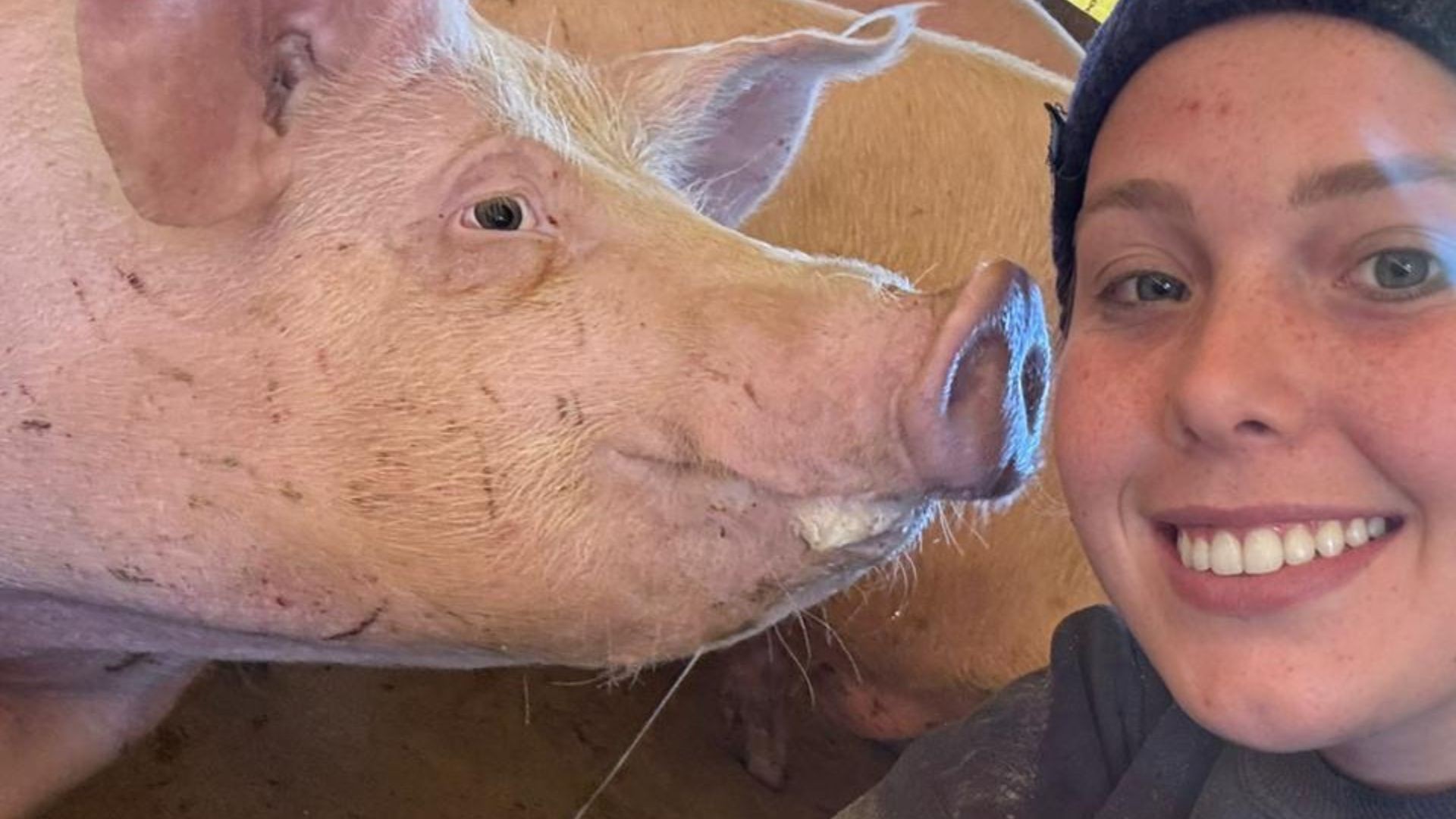 'Vida com os porcos': jovem se muda para a roça e mostra rotina na criação de suínos