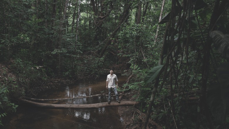 De plantas amazônicas a insetos: como alimentos alternativos ganham escala no Brasil