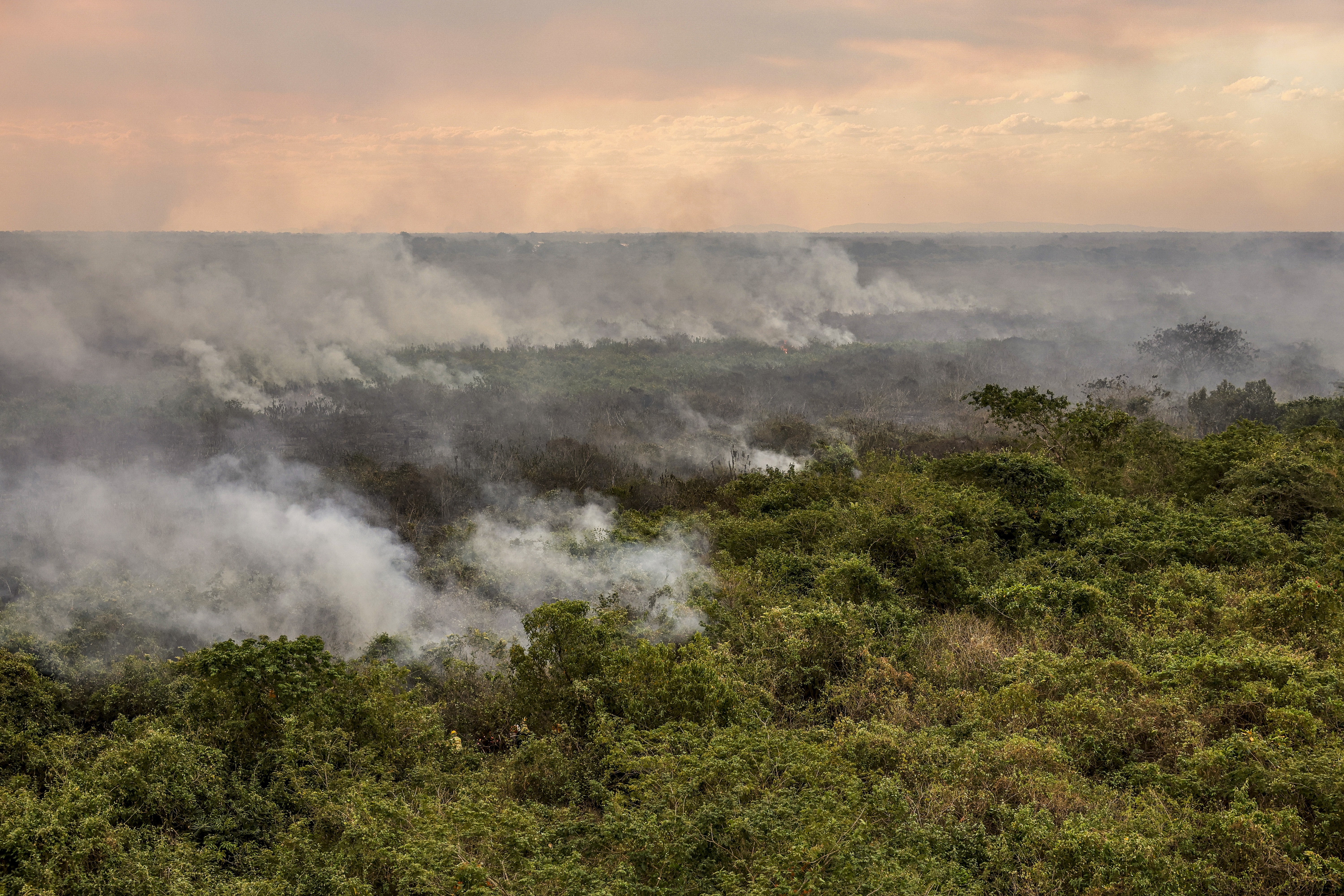 Pesquisa aponta aumento no risco de incêndios florestais