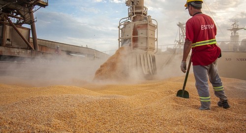 Em menos de um ano, China se torna principal importador de milho do Brasil