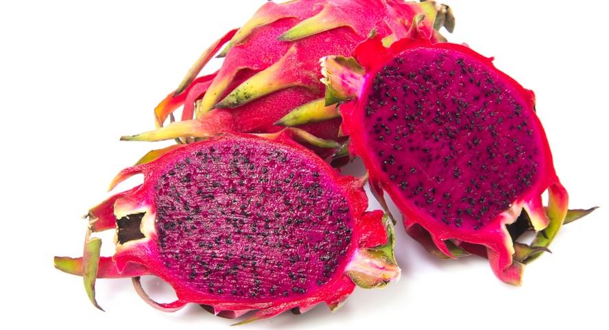 Maturação da pitaya ocorre entre 27 e 33 dias após a floração, dependendo do cultivar e da região de produção