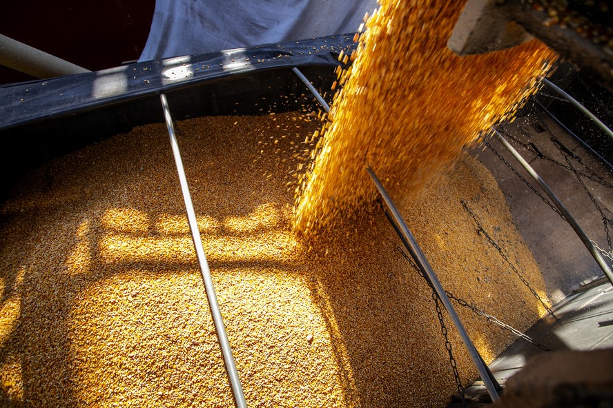Demanda mantém preço do milho e trigo em alta, mas faz cair o de soja