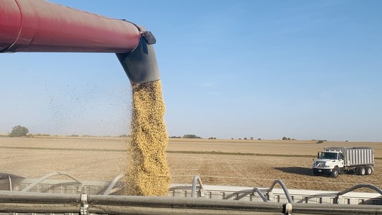 Estoques finais de milho nos EUA caíram 1,2% na safra 2022/23