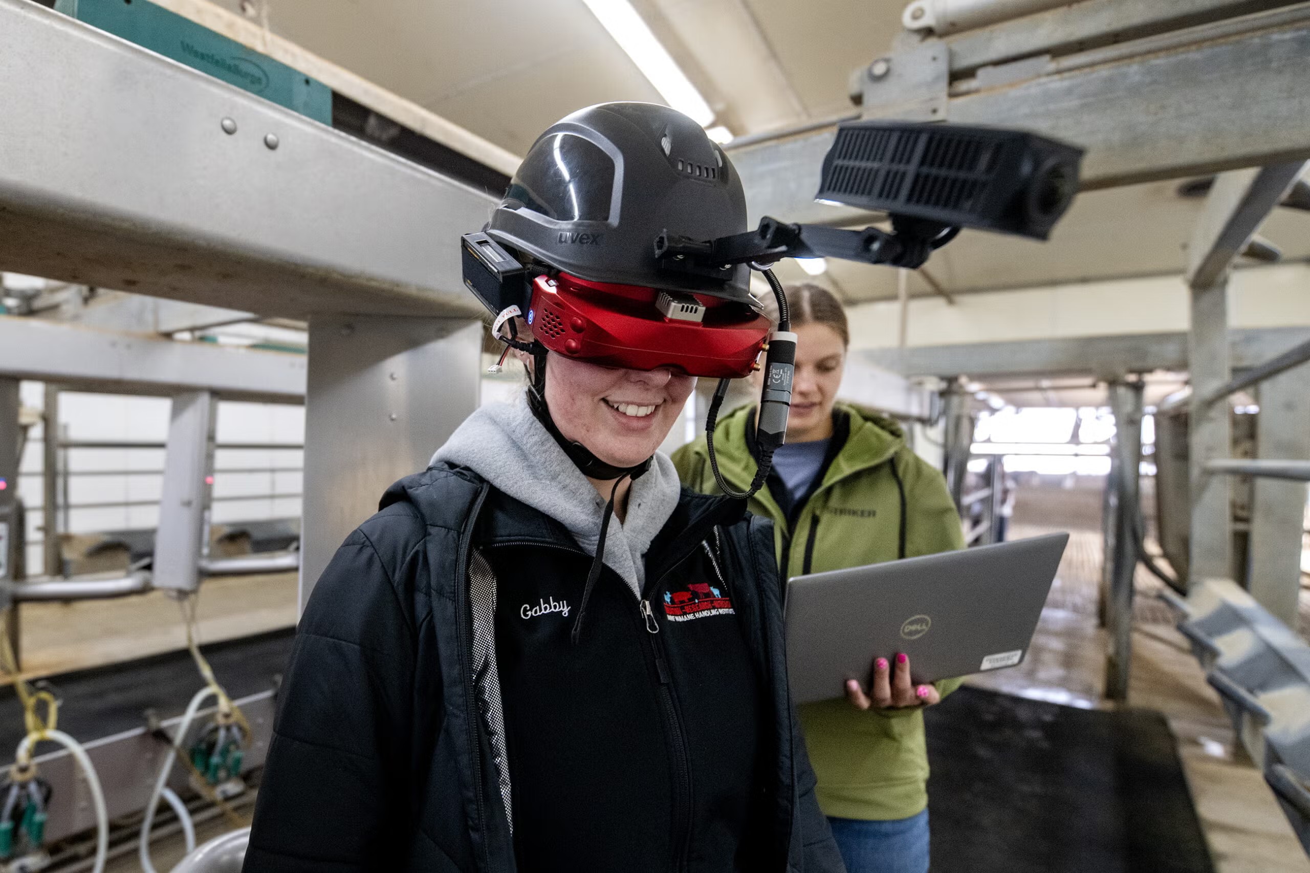 Como as vacas enxergam? Óculos simulam visão bovina para entender seu comportamento